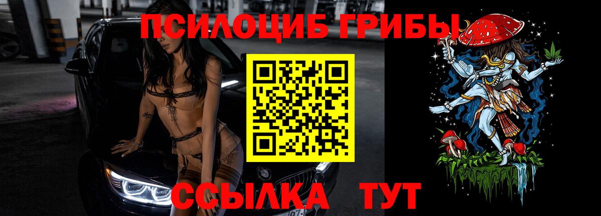 Псилоцибиновые грибы GOLDEN TEACHER Ачхой-Мартан
