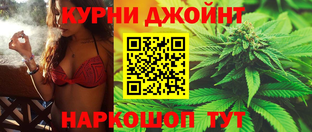 МАРИХУАНА сатива Ачхой-Мартан